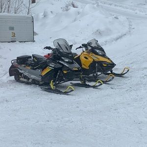 Meet your Posher, Annaliese